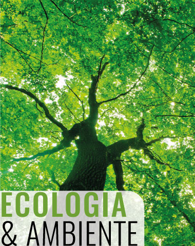 dmb_consulting-ecologia&ambiente